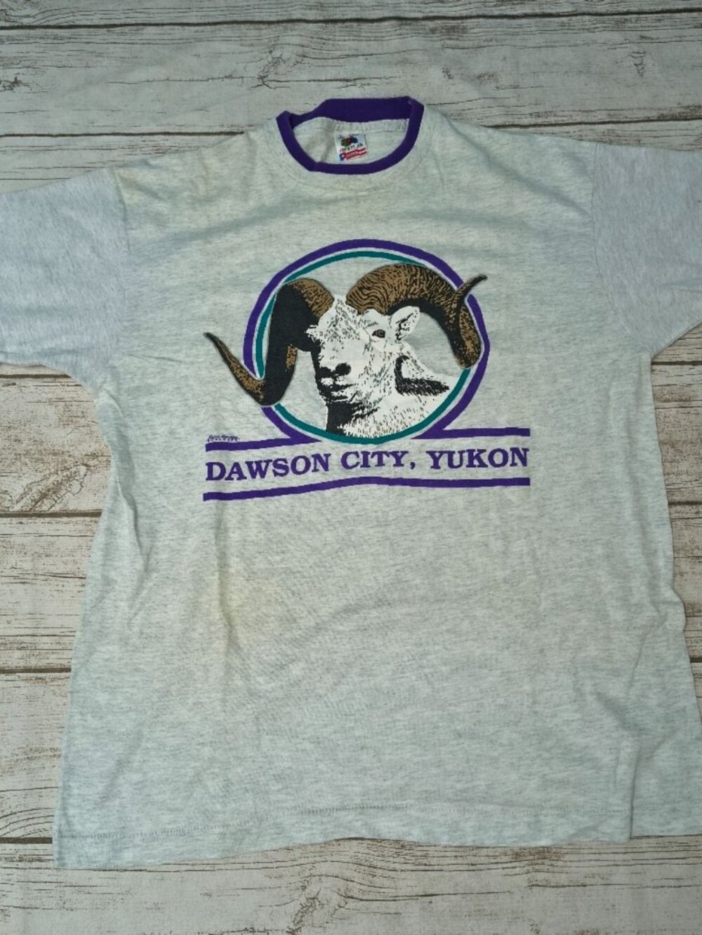 Vintage Fruit Of The Loom Dawson City Yukon T Shirt Size Large
